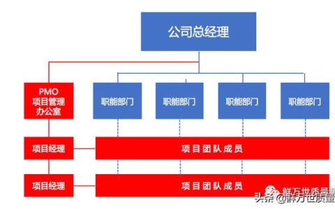 采用矩陣式項(xiàng)目開發(fā)模式，是否還需要建立PMO項(xiàng)目管理辦公室？（項(xiàng)目管理辦公室pmo實(shí)踐指南）